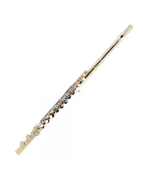Produit De Marque TREVOR JAMES 33233 FLUTE ALTO LAITON plaque et noyau argent avec étui