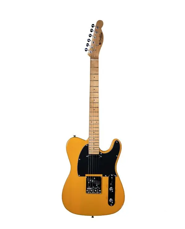 Must-Have PRODIPE GUITARS TC80MA BS GUITARE ELECTRIQUE TELECASTER BUTTERSCOTCH
