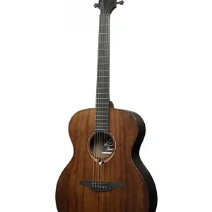 LAG SAUVAGE-A "SAUVAGE" GUITARE FOLK AUDITORIUM BRANKOWOOD Acheter Direct