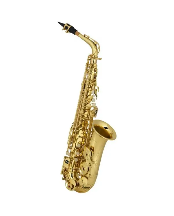 Achetez Aujourd'hui EASTMAN EAS253 SAXOPHONE ALTO D‘ÉTUDE VERNI Avec étui & bec