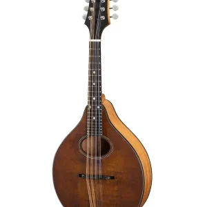 EASTMAN PCH-M104 MANDOLINE A-STYLE ROSACE OVALE CLASSIC FINISH Produit De Marque