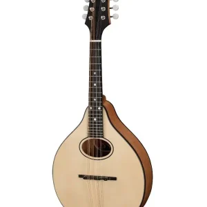 Offre Exclusive EASTMAN PCH-M104-NAT MANDOLINE A-STYLE ROSACE OVALE NATURAL FINISH