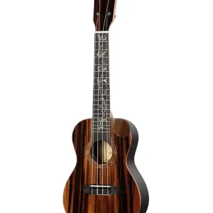 ORTEGA RUET-EB "ELITE" UKULELE CONCERT EBENE MASSIF Authentique