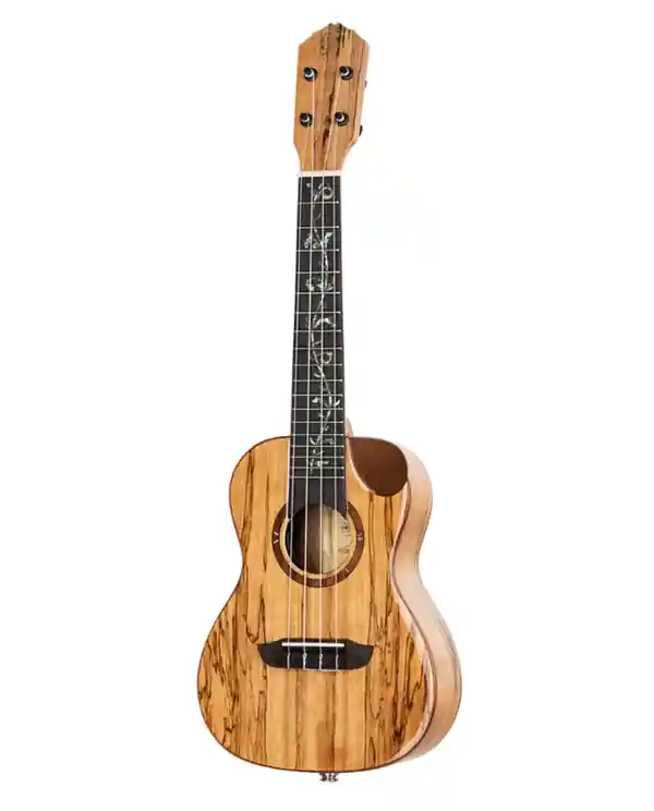 Meilleure Vente ORTEGA RUET-SMA "ELITE" UKULELE CONCERT ECPICÉA / ÉRABLE MASSIF