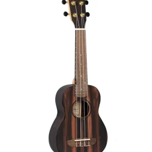 ORTEGA RUEB-SO UKULELE SOPRANO EBENE - Avec housse Achetez Aujourd'hui