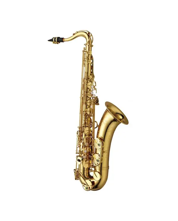 Offre Du Jour YANAGISAWA T-WO1 SAXOPHONE TENOR VERNI avec étui et bec