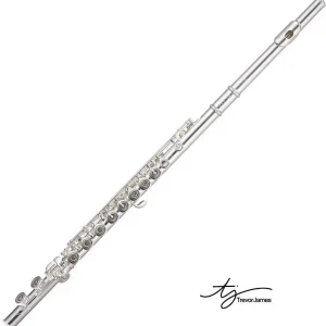 Satisfait Ou Remboursé TREVOR JAMES VIRTUOSO FLUTE TRAVERSIERE TETE & TUBE ARGENT avec étui