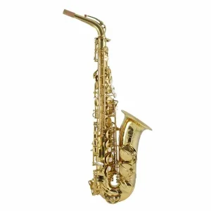 TREVOR JAMES SIGNATURE CUSTOM 37SC-A169B SAXOPHONE ALTO VERNI Acheter Direct