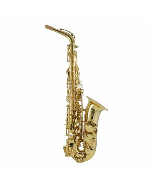 TREVOR JAMES SIGNATURE CUSTOM 37SC-A169B SAXOPHONE ALTO VERNI Acheter Direct