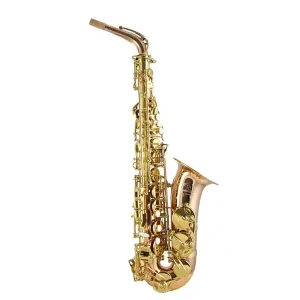 Authentique TREVOR JAMES SIGNATURE CUSTOM 37SC-A269B SAXOPHONE ALTO PHOS. BRONZE