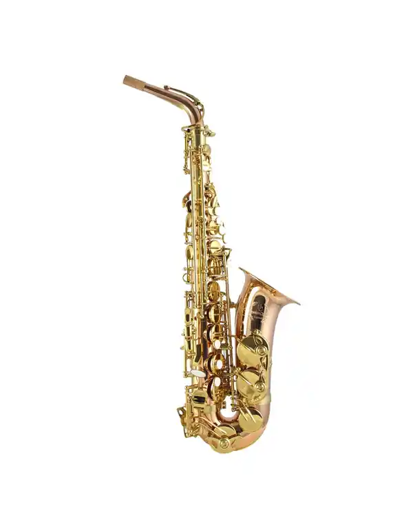 Authentique TREVOR JAMES SIGNATURE CUSTOM 37SC-A269B SAXOPHONE ALTO PHOS. BRONZE