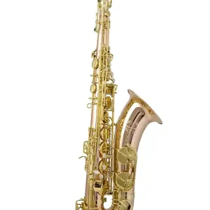 TREVOR JAMES SIGNATURE CUSTOM 38SC-T269B SAXOPHONE TENOR PHOS. BRONZE Jusqu'à Épuisement Des Stocks