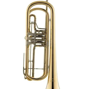 MIRAPHONE 237 11000 100 TROMPETTE BASSE A PALETTE VERNI Remise
