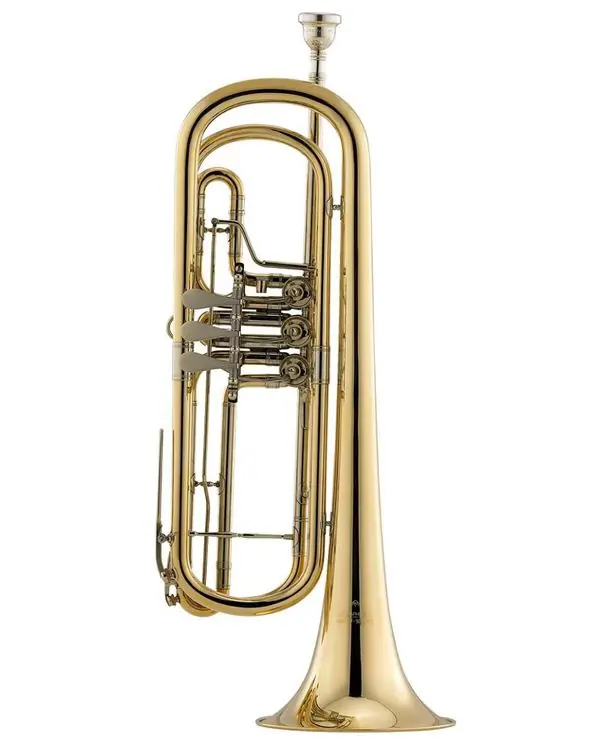 MIRAPHONE 237 11000 100 TROMPETTE BASSE A PALETTE VERNI Remise