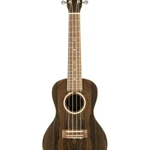 LANIKAI ZR-C UKULELE CONCERT ZIRICOTE Retour Gratuit