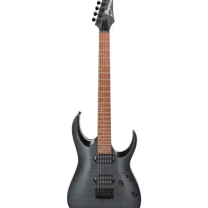 IBANEZ RGA42FM-TGF GUITARE ELECTRIQUE TRANSPARETN GRAY FLAT Meilleure Vente
