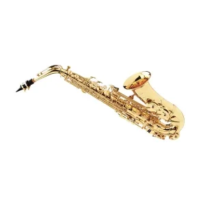 BUFFET CRAMPON PRODIGE SAXOPHONE ALTO VERNI - Livré en étui Certifié