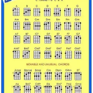 Twisted Gitar Co Ukulele Chord Chart - C Tuning Top Vente