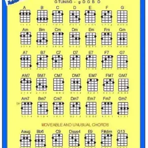 Prix Bas Twisted Gitar Co Banjo Chord Chart