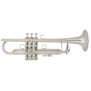 Acheter En Ligne BACH STRADIVARIUS ML190-43 TROMPETTE SIB ARGENTÉE avec étui et emb.