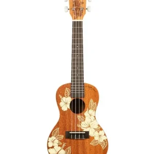Achat Immédiat KALA KA-HIBISCUS-C-BAG "HIBISCUS" UKULELE CONCERT ACAJOU avec housse