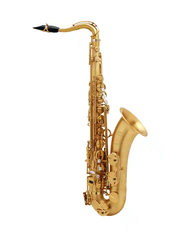 SELMER SIGNATURE SAXOPHONE TENOR VERNI BROSSÉ avec étui et bec Dernier Modèle