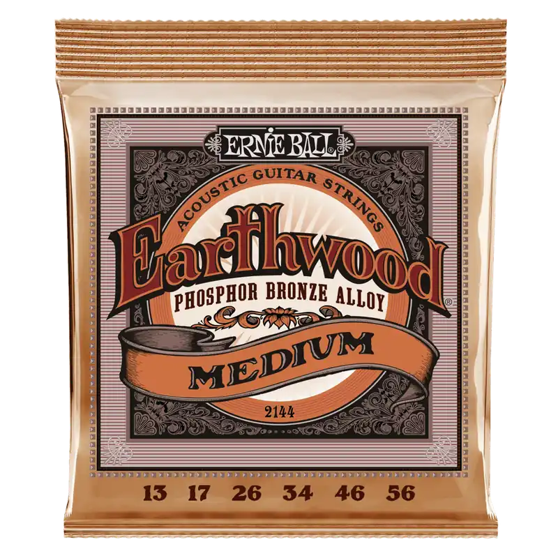Prix Bas Ernie Ball Earthwood Medium Phosphor Bronze Acoustic Guitar Strings