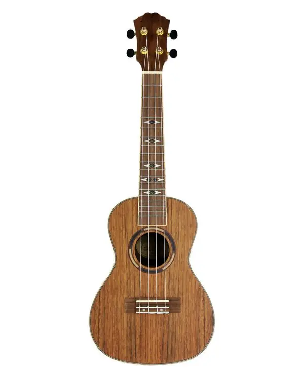 ALABAMA FZU-052CWD UKULELE DE CONCERT HICKORY MASSIF Remise