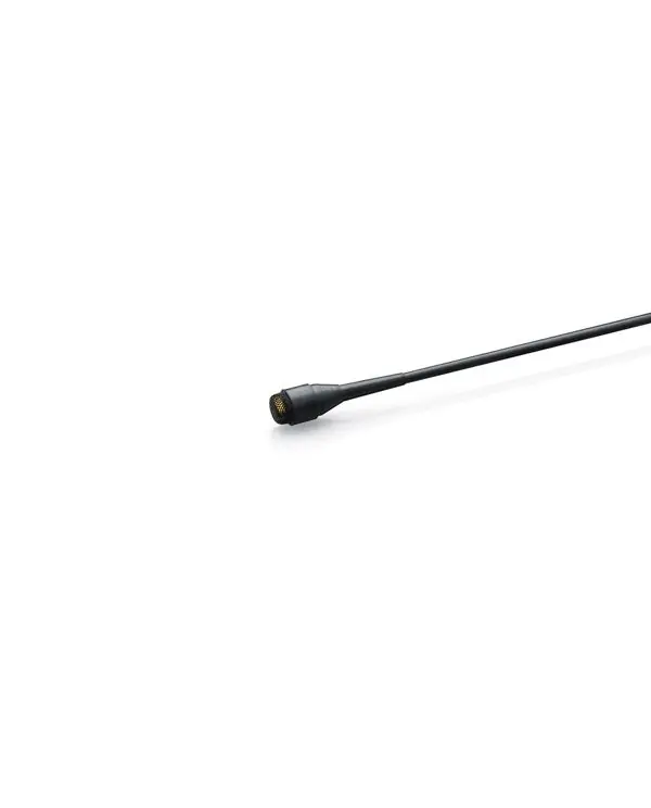 Promotion Saisonnière DPA 4060 CORE MICRO OMNIDIRECTIONNEL MINIATURE NOIR - MicroDot