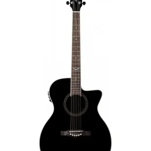 EKO NXT-A100CWE-BLK GUITARE FOLK ELECTRO AUDITORIUM NOIRE Achetez Aujourd'hui