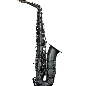 Prix Choc SELMER MODELE 2025 "140 ANS" SAXOPHONE ALTO NOIR GRAVÉ - étui et bec
