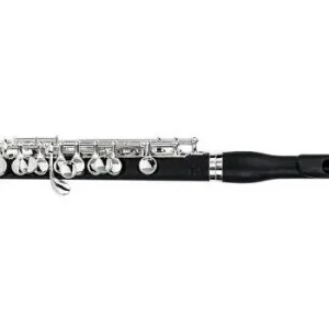Usine Directe Di Zhao Flutes DZP201 Grenadilla Piccolo