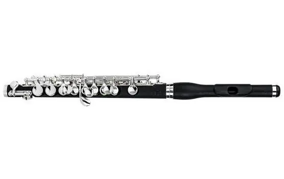 Usine Directe Di Zhao Flutes DZP201 Grenadilla Piccolo