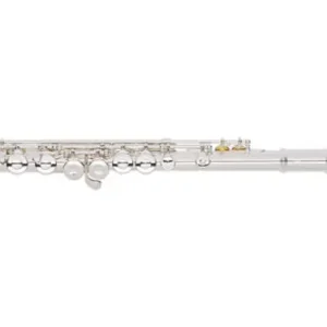 Haute Qualité Armstrong Closed Hole Student Model Flute