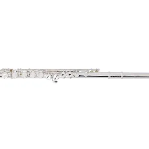 Gemeinhardt 2SPAJ Student Flute w/Artisan Body, J1 Headjoint, Offset G, C Foot Meilleur Prix