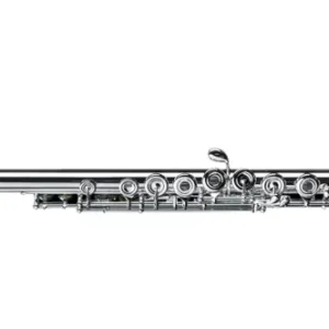 Soldes Di Zhao Flutes DZ801BEF Sterling Silver Flute with B-foot, Offset G, Split-E Mechanism, Open-hole and Pointed-arms