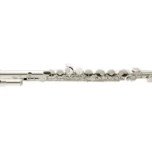Altus Flutes Sterling Silver Alto Flute - Curved And Straight Headjoint Meilleur Prix