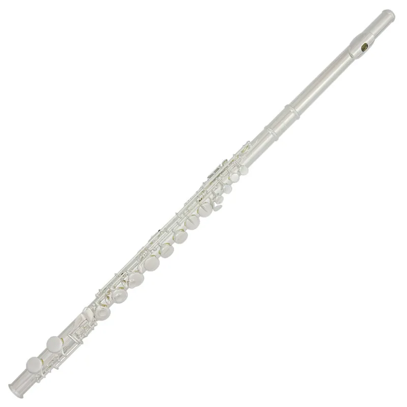 Expédié Aujourd'hui Trevor James Silver Plated Alto Flute - Sterling Silver Lip Plate & Riser - Straight Headjoint