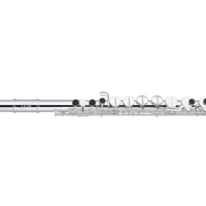 Bon Plan Miyazawa Silver Plated Alto Flute - Sterling Silver Headjoint