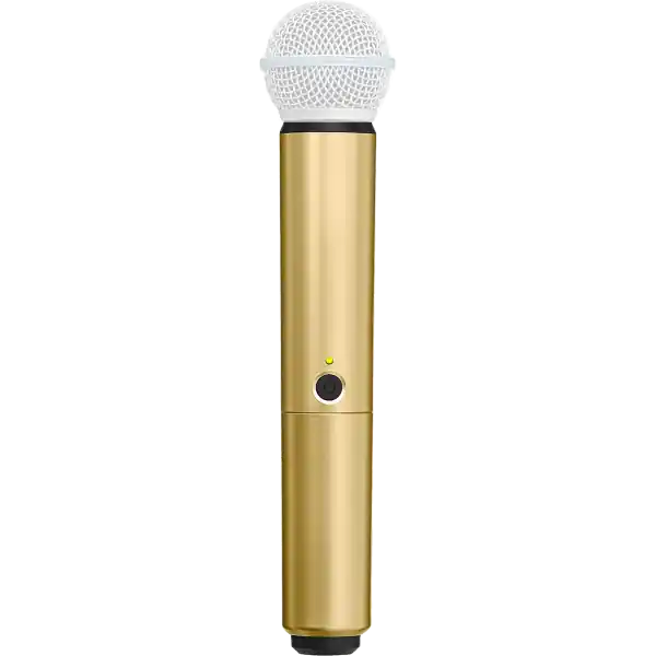 ShureWA713 (Gold) Offre Limitée