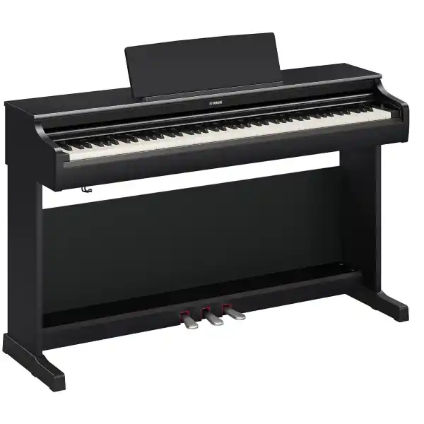 YamahaYDP-166 B Arius (Noir) Must-Have