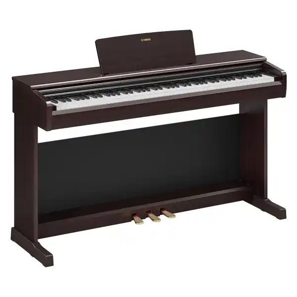 YamahaYDP-146 R Arius (Bois de rose) Dernier Modèle