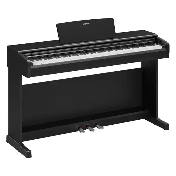 YamahaYDP-146 B Arius (Noir) Affaire À Saisir