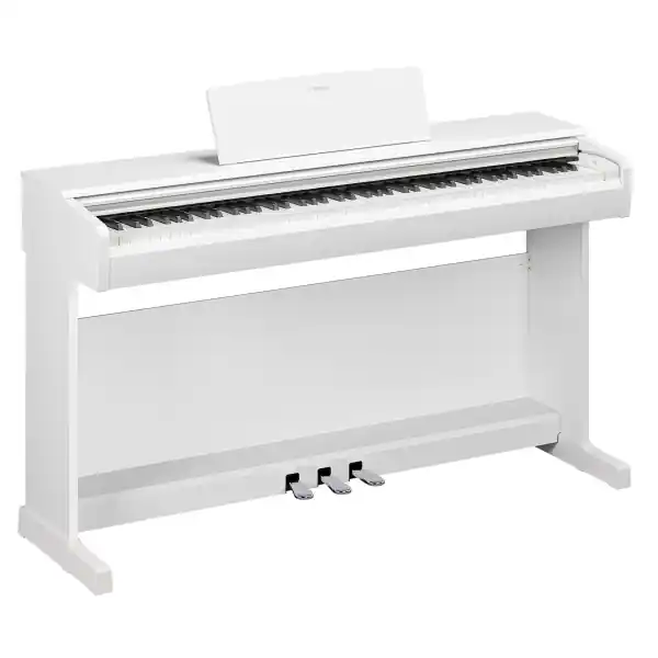 Must-Have YamahaYDP-146 WH Arius (Blanc)
