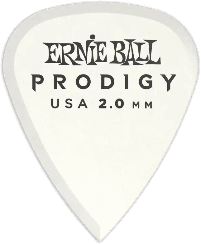 Achat Immédiat Ernie Ball 9202