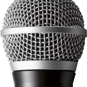 Expédié Aujourd'hui Shure RPW110 Tête HF main PG58