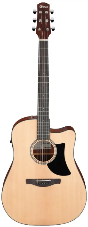 Ibanez AAD50CE-LG Nouvelle Collection