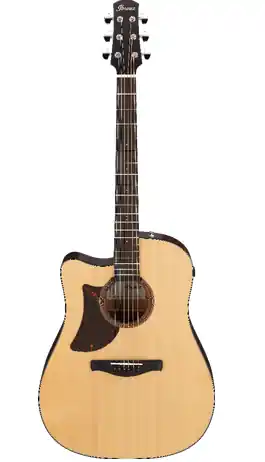 Ibanez AAD170LCELGS GAUCHER Commander Vite