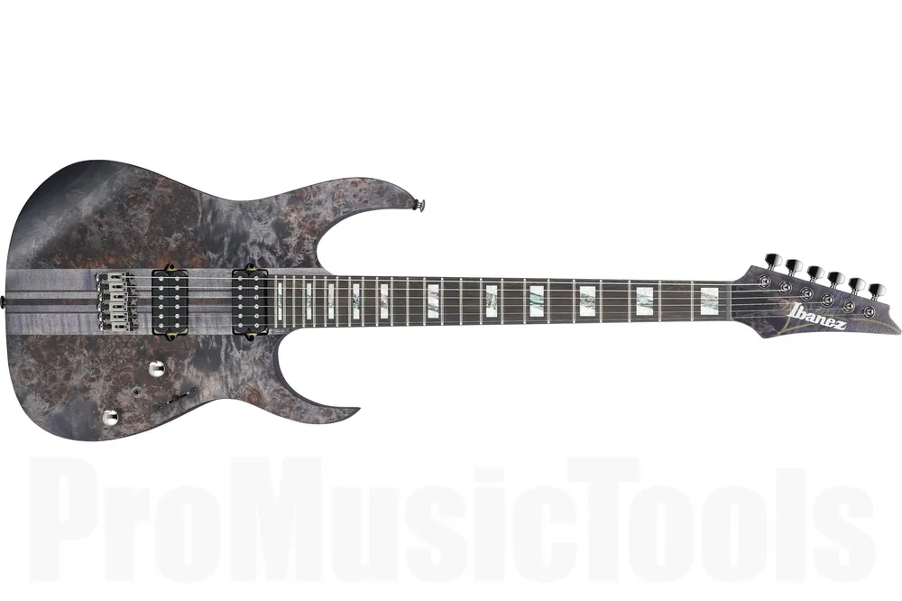 Nouvelle Collection Ibanez RGT1221PB DTF - Deep Twilight Flat RG