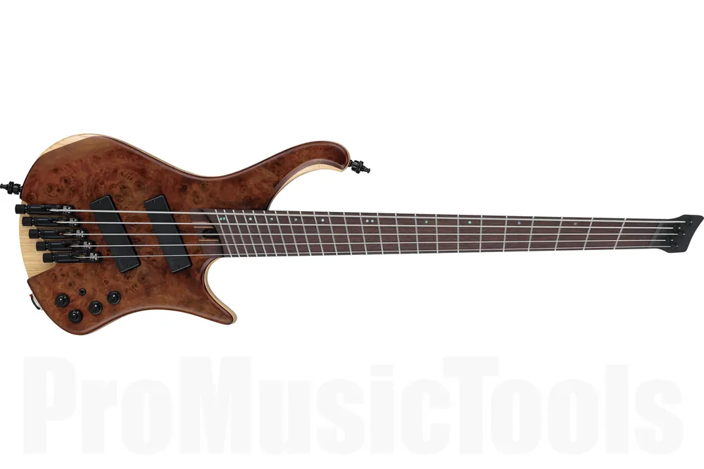 Acheter Direct Ibanez EHB1265MS NML - Natural Mocha Low Gloss Bass Workshop